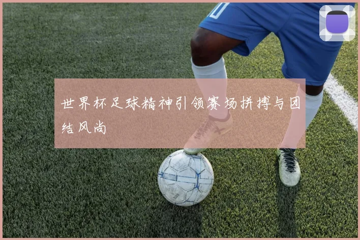 世界杯足球精神引领赛场拼搏与团结风尚