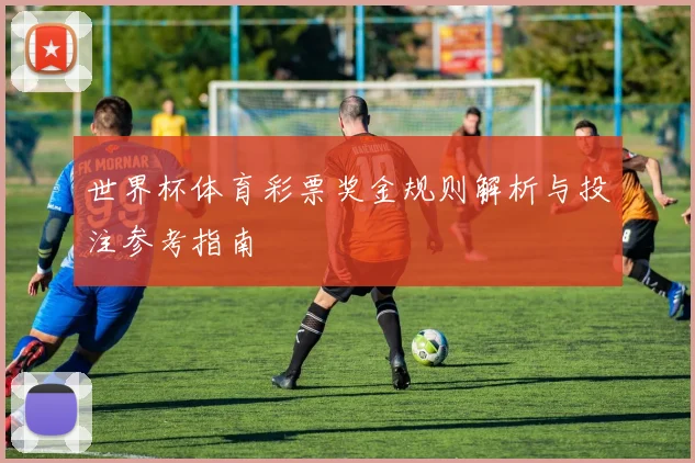 世界杯体育彩票奖金规则解析与投注参考指南