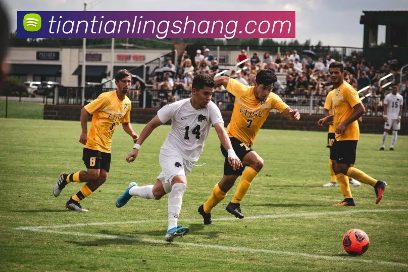 世界杯官方网络平台平台生态图