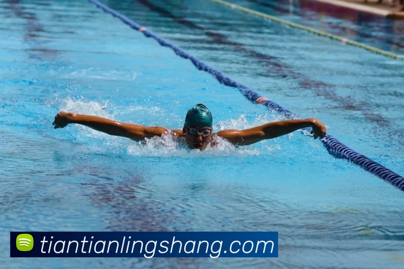 世界杯官方网络平台全站App